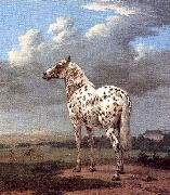 The Piebald Horse POTTER, Paulus